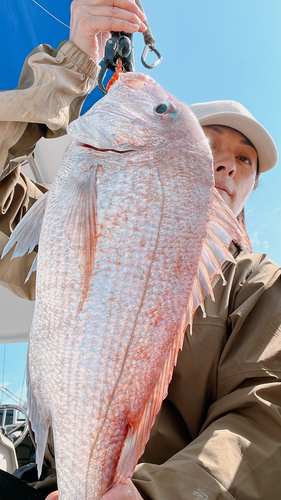 タイの釣果