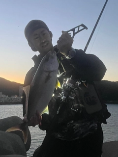 シオの釣果