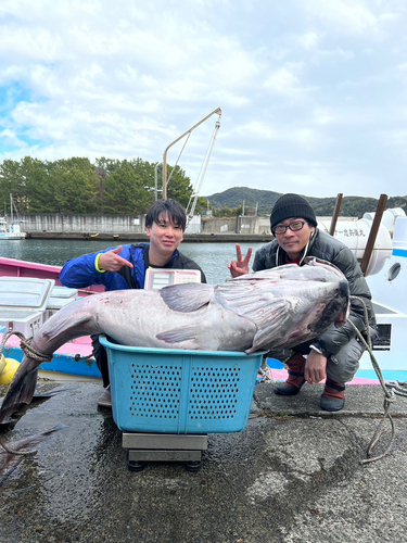 アブラボウズの釣果