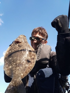 ヒラメの釣果