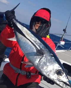 ビンチョウマグロの釣果