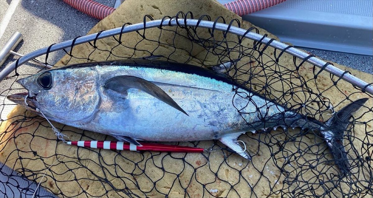 義勇さんの釣果 3枚目の画像