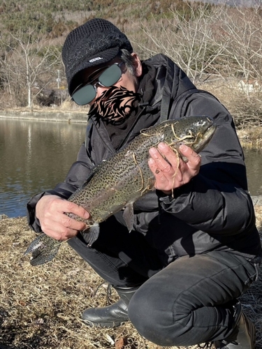 レインボートラウトの釣果