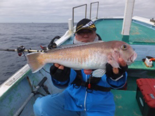 シロアマダイの釣果