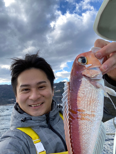 アマダイの釣果