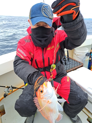 レンコダイの釣果