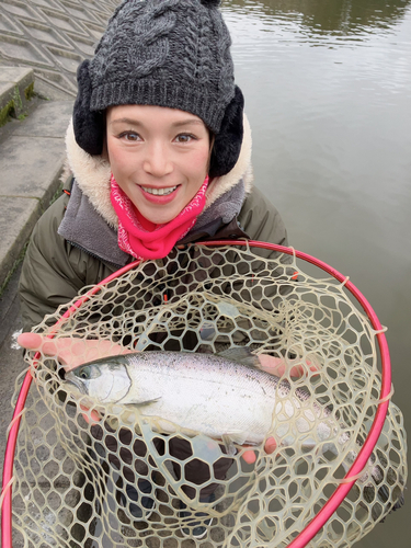 ニジマスの釣果