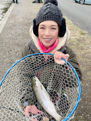 ニジマスの釣果