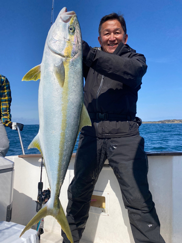 ヒラマサの釣果