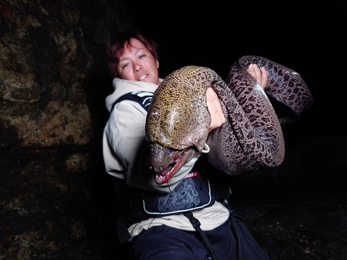 ウツボの釣果