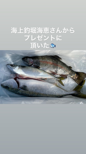 サクラマスの釣果