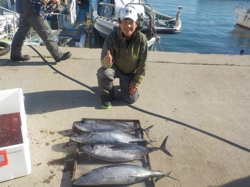 ビンチョウマグロの釣果