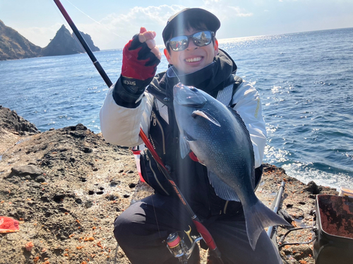 オナガグレの釣果