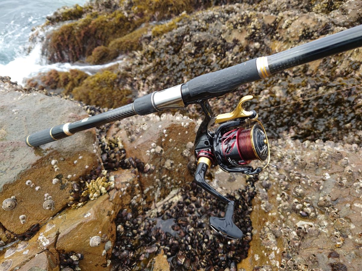 アングラーツヨポンさんの釣果 2枚目の画像