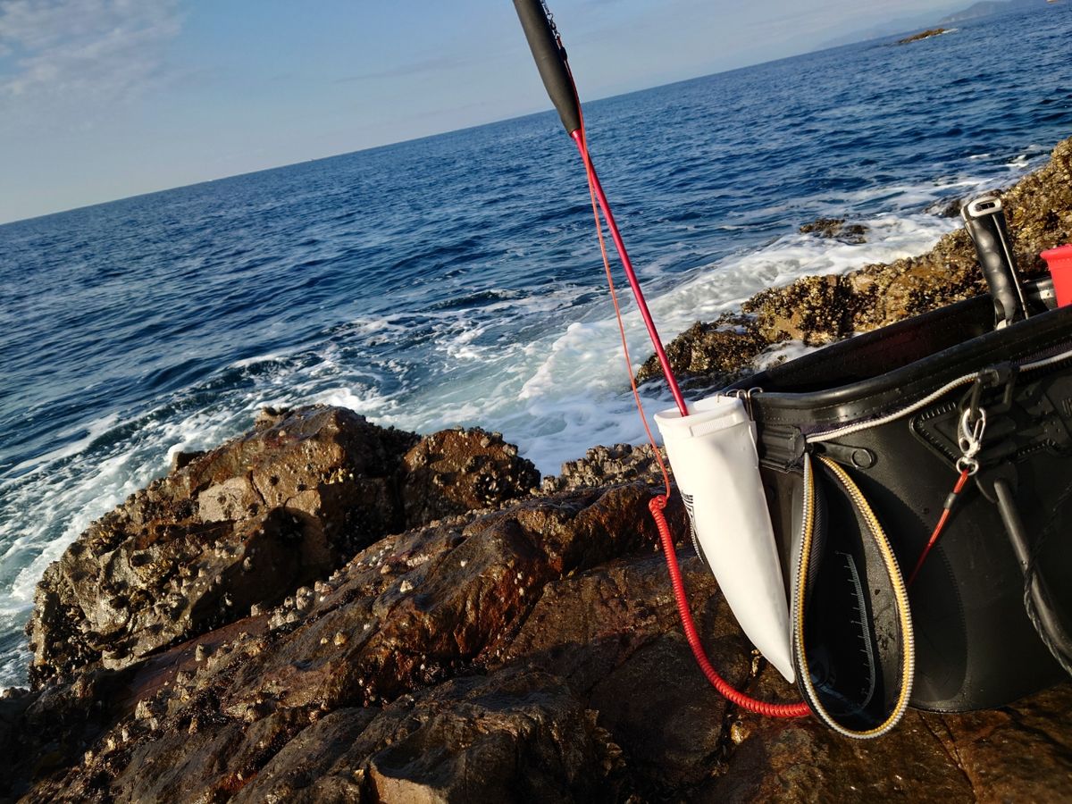 アングラーツヨポンさんの釣果 3枚目の画像