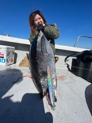 ビンチョウマグロの釣果