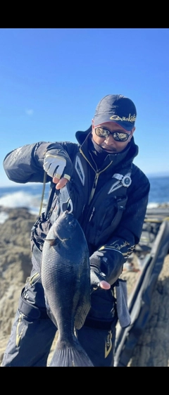 クチブトグレの釣果