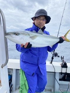 ブリの釣果