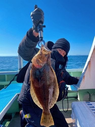 ヒラメの釣果