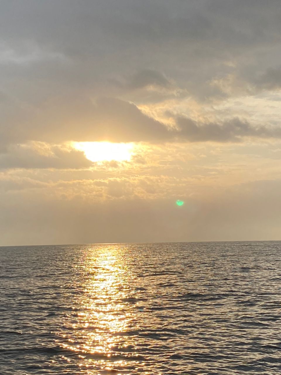 まぁくん@DAZNさんの釣果 2枚目の画像