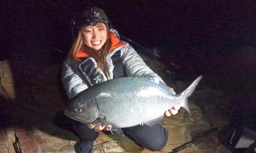 イスズミの釣果