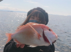 レンコダイの釣果