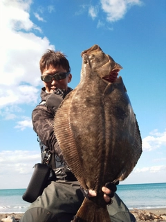 ヒラメの釣果