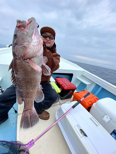 マハタの釣果