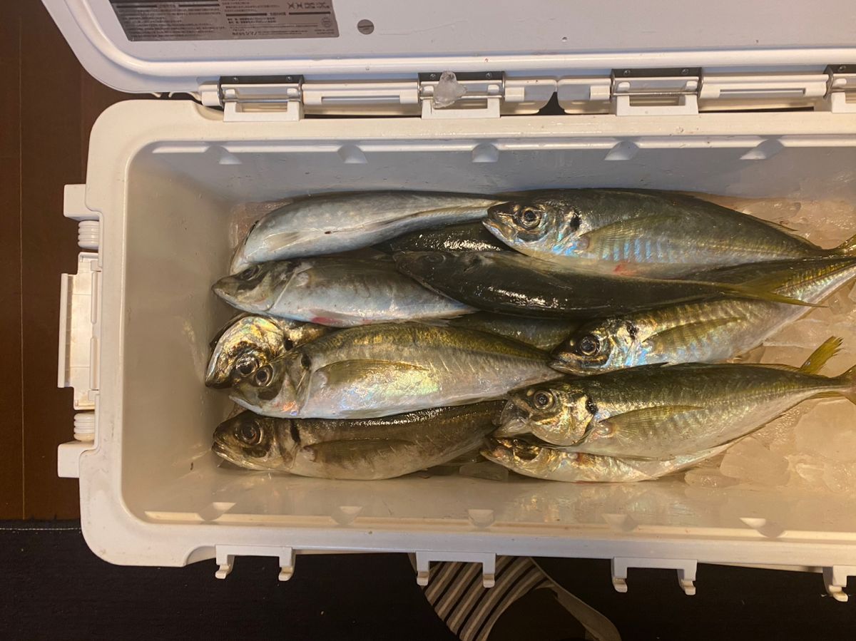 変態魚おやじさんの釣果 1枚目の画像