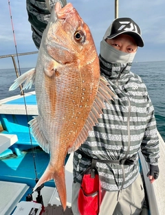 マダイの釣果