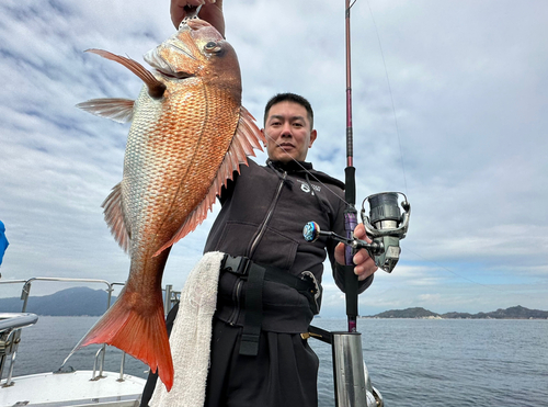 マダイの釣果