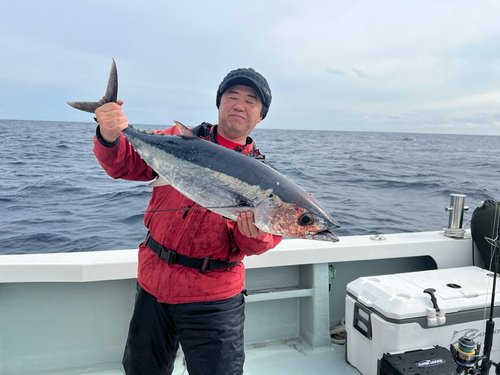 ビンチョウマグロの釣果