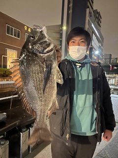 クロダイの釣果