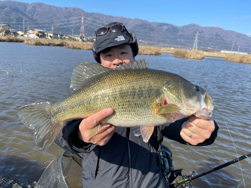 ブラックバスの釣果