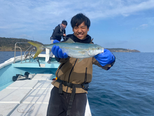 ヤズの釣果