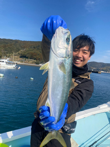 ヤズの釣果