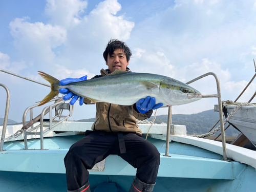 ブリの釣果