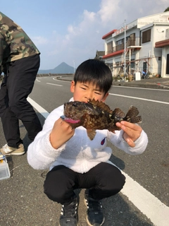 アラカブの釣果