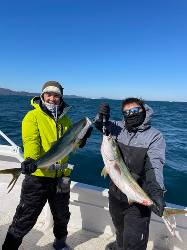 ブリの釣果