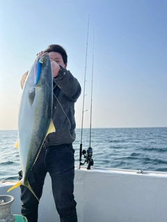 ハマチの釣果