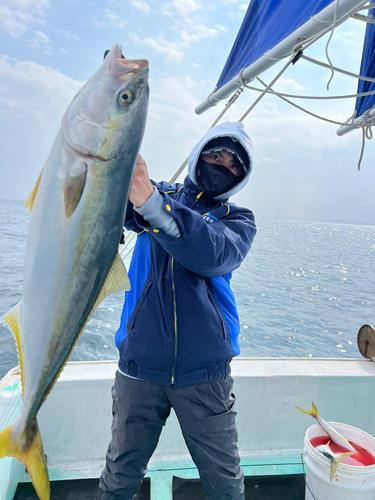 ハマチの釣果