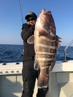 マハタの釣果