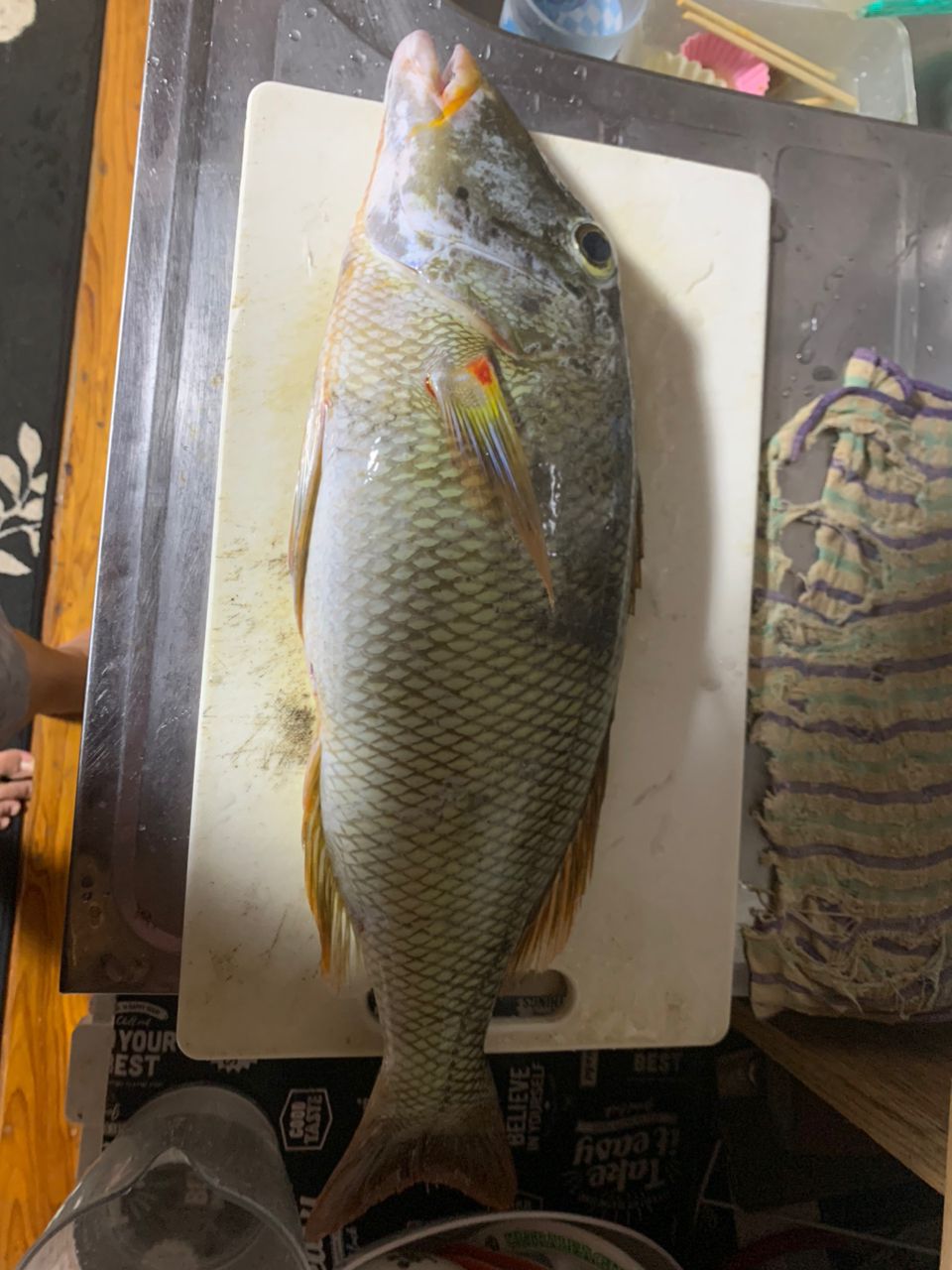 ムネアカクチビ