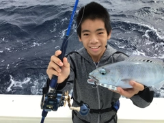 アオチビキの釣果