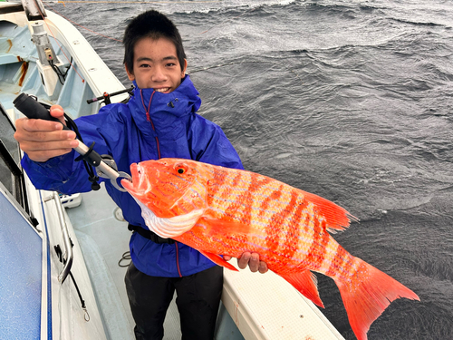 フエダイの釣果