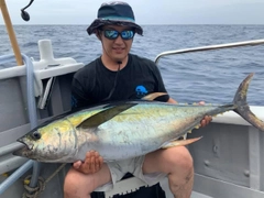 キハダマグロの釣果