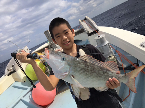 キツネフエフキの釣果