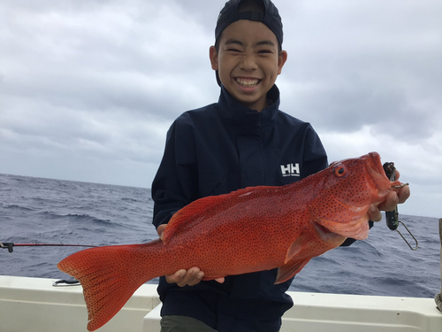 スジアラの釣果