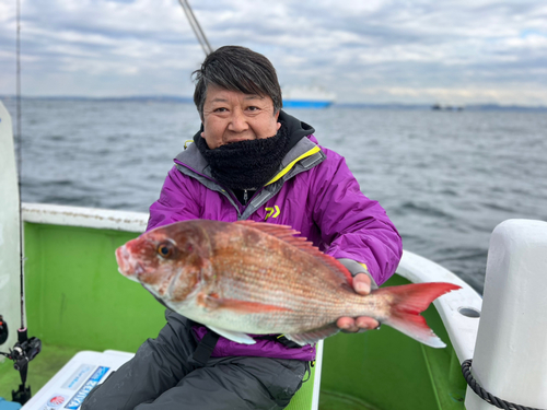 マダイの釣果