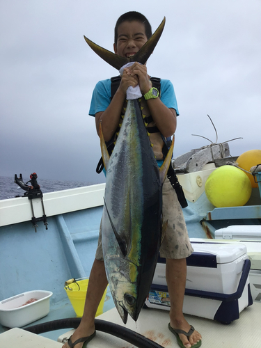 キハダマグロの釣果